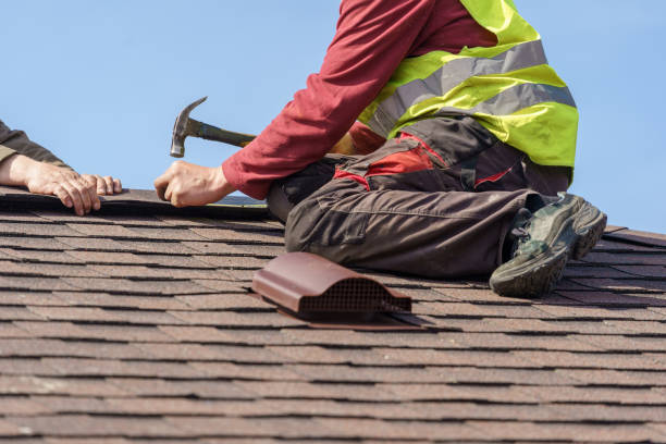 Best Roof Gutter Cleaning  in Byron, GA