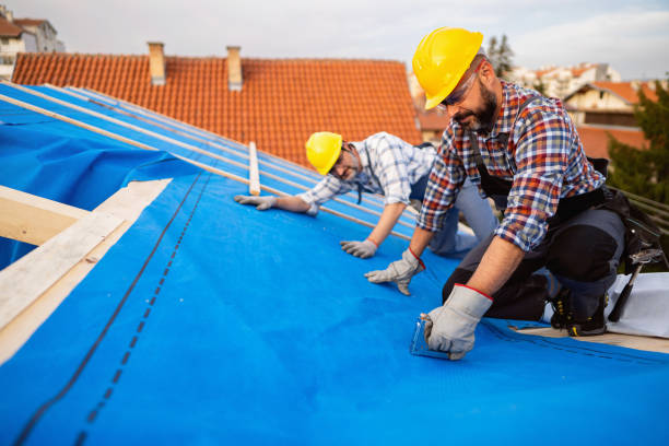 Best Gutter Installation and Roofing  in Byron, GA