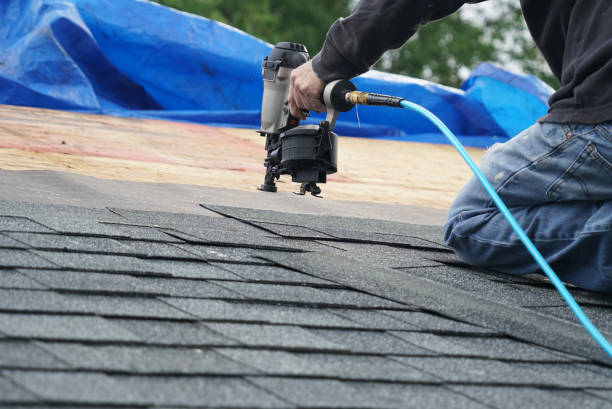 Best Gutter Installation and Roofing  in Byron, GA