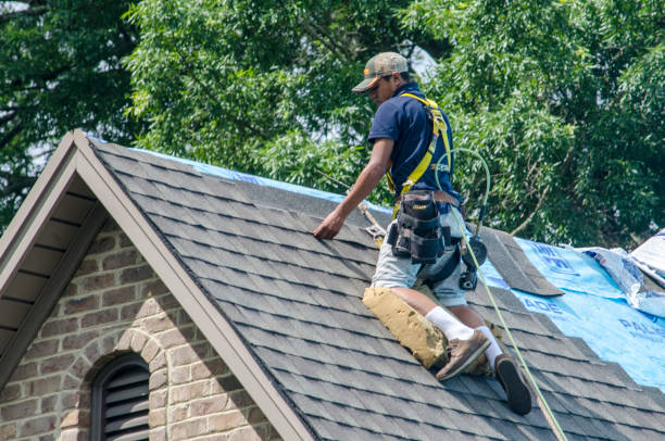 Best Shingle Roofing Installation  in Byron, GA